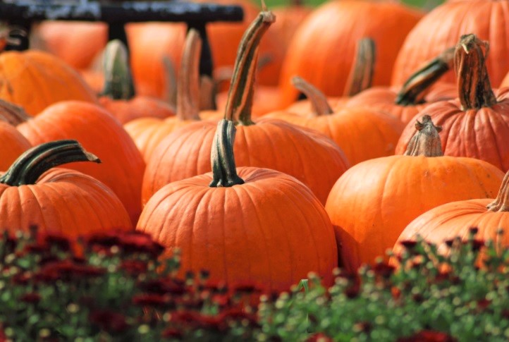 portokali-kolokytha-diatrofiki-axia